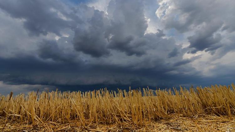 Am Montag kann vor allem im Süden mit Starkregen und Hagel gerechnet werden. 