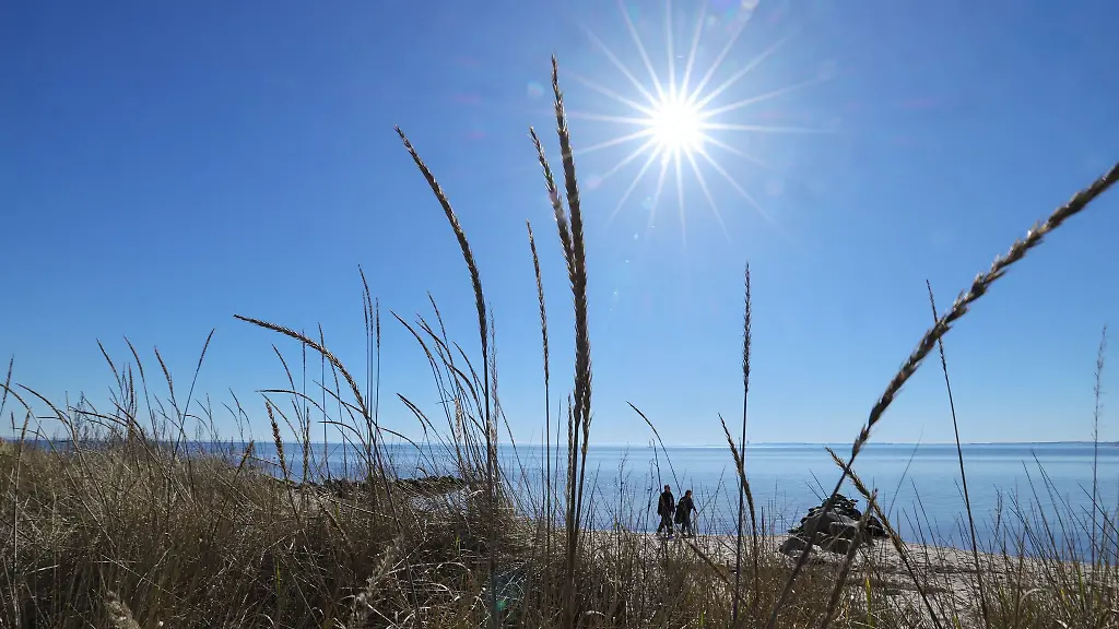 Sonne-und-Wind-trocknen-die-Natur-in-Schleswig-Holstein-aus
