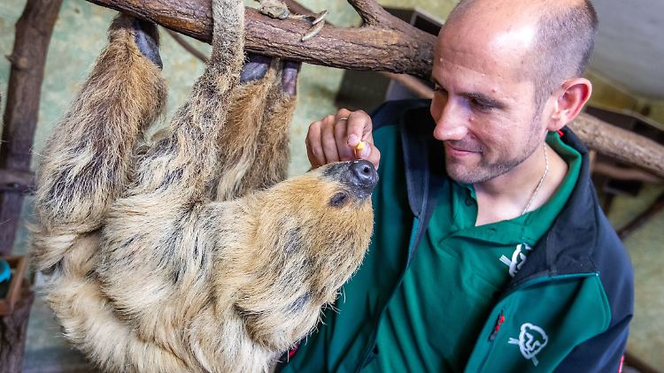 Ein Bild aus besseren Zeiten, als Paula noch gekonnt mit den Pflegern abhing - und sich von Leckerlis locken ließ.