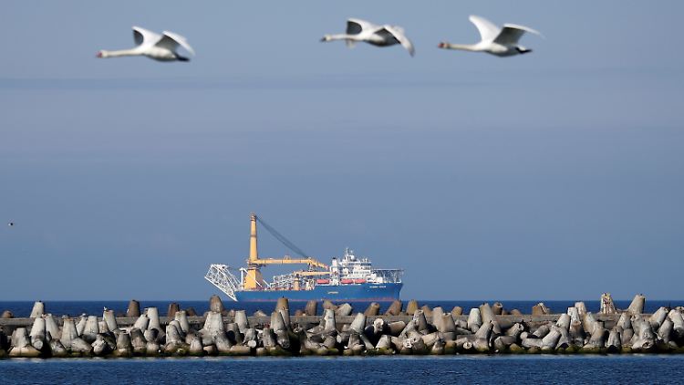 Die "Akademik Cherskiy" soll die letzte Kilometer der Pileline bauen und liegt derzeit im Hafen Mukran.