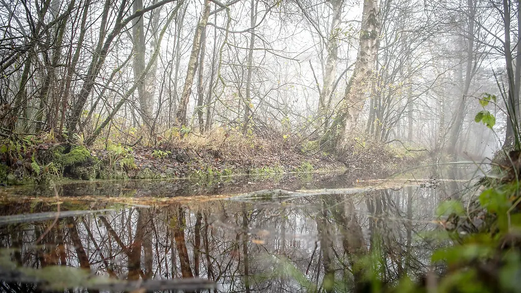 Durch-Wiedervernaessung-von-Mooren-koennen-Treibhausgas-Emissionen-gesenkt-werden