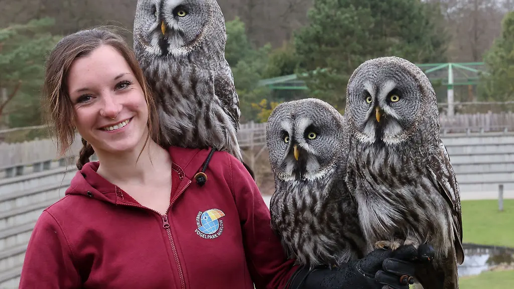 Der-Gesichtsschleier-der-Bartkaeuze-funktioniert-wie-eine-Art-Satellitenschuessel