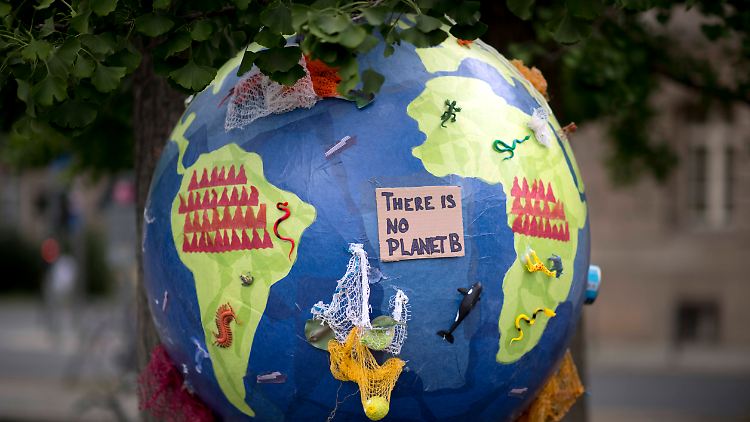 In einem offenen Brief forderten Fridays for Future den sofortigen Stopp von Investitionen in und Subventionen für fossile Brennstoffe.