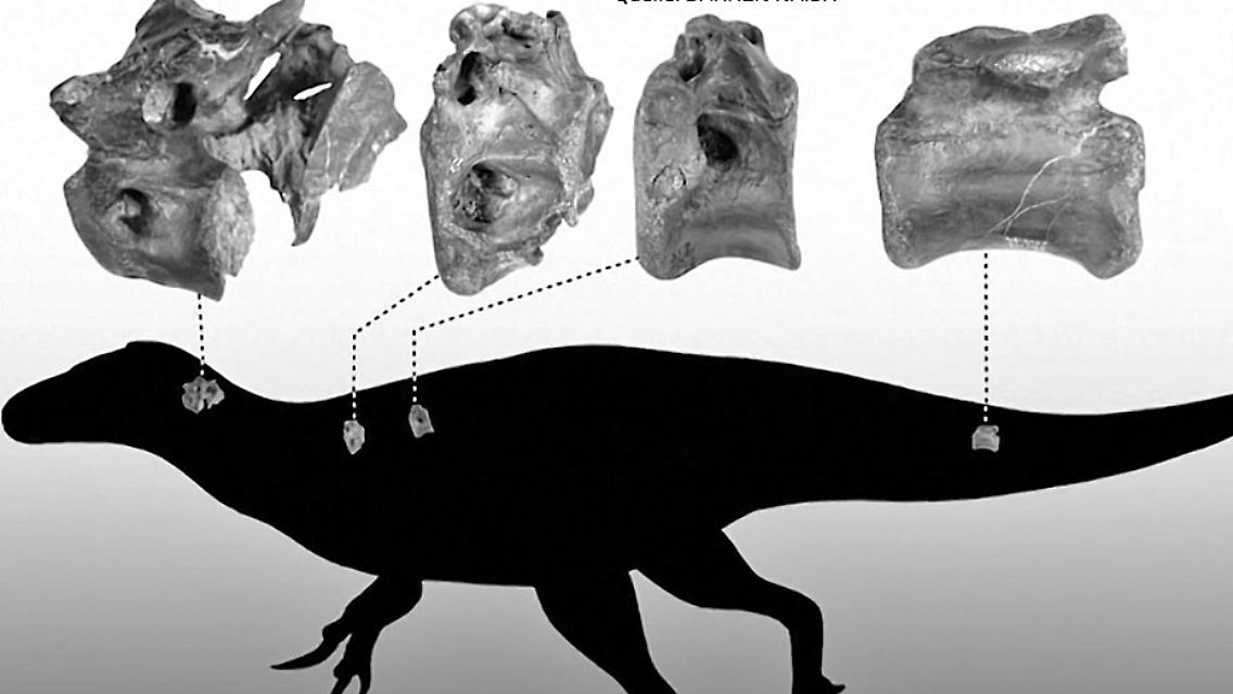 TrexBro.jpg
