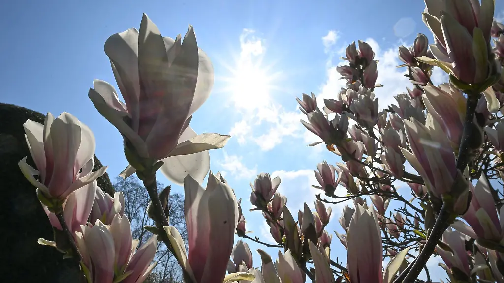Die-Meteorologen-sagen-Sonne-satt-bis-Sonntag-voraus