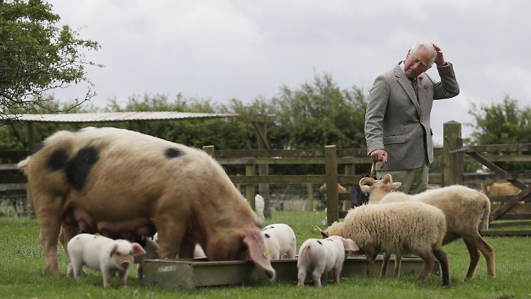 Mit Produkten der Home Farm gründete Charles "Duchy Originals", bekannt für seine Haferkekse.