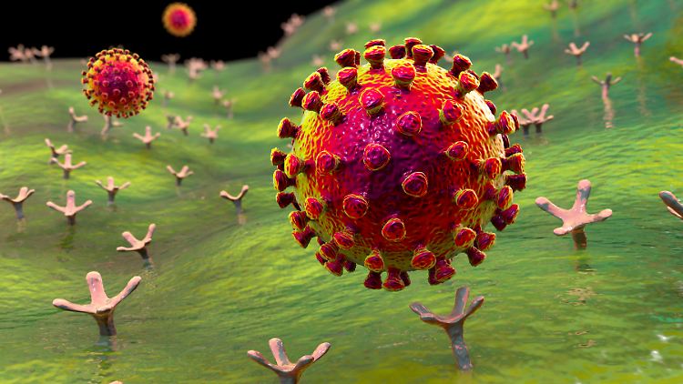 Eine beobachtete Mutation am Coronavirus könnte für seine geringere Gefährlichkeit verantwortlich sein.