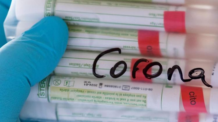 Proben für Corona-Tests werden einem Labor für die weitere Untersuchung vorbereitet. Foto: Hendrik Schmidt/dpa-Zentralbild/ZB/Symbolbild