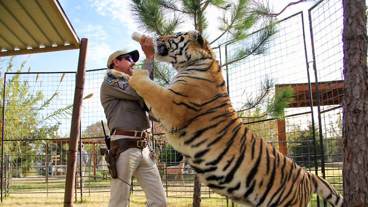 Joe Exotic verlor seinen Privatzoo an seine Erzrivalin Carol Baskin.