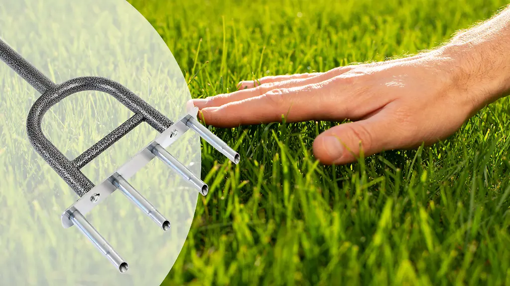 So-kommt-wieder-Sauerstoff-in-den-Rasen