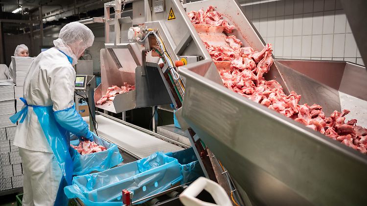 Gewerkschaften befürchten, dass Konzerne der Fleischindustrie das geplante Gesetz zu ihren Gunsten beeinflussen.