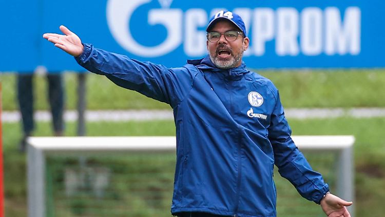 David Wagner hats derzeit wirklich nicht leicht.