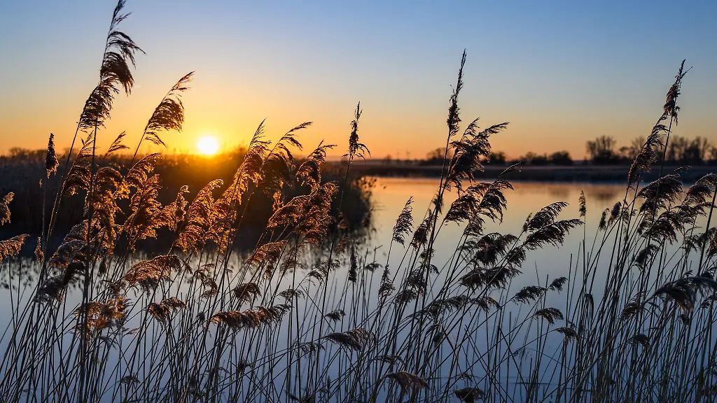 In-Berlin-und-Brandenburg-fiel-mit-10-beziehungsweise-15-Litern-pro-Quadratmeter-sehr-wenig-Regen-Normal-waeren-laut-DWD-37-beziehungsweise-36-Liter-pro-Quadratmeter