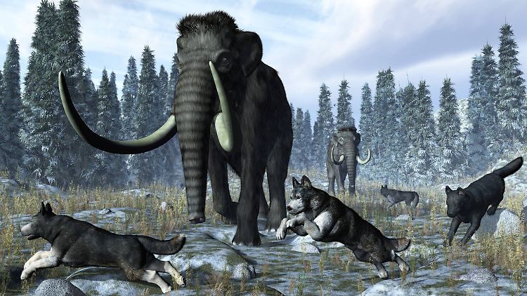 In Europa und Nordamerika war es vor 20.000 Jahren eiskalt.