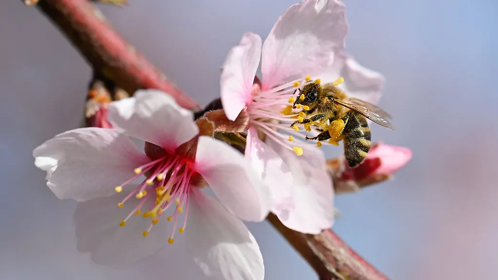 Im-Laufe-der-Woche-wird-es-immer-sonniger