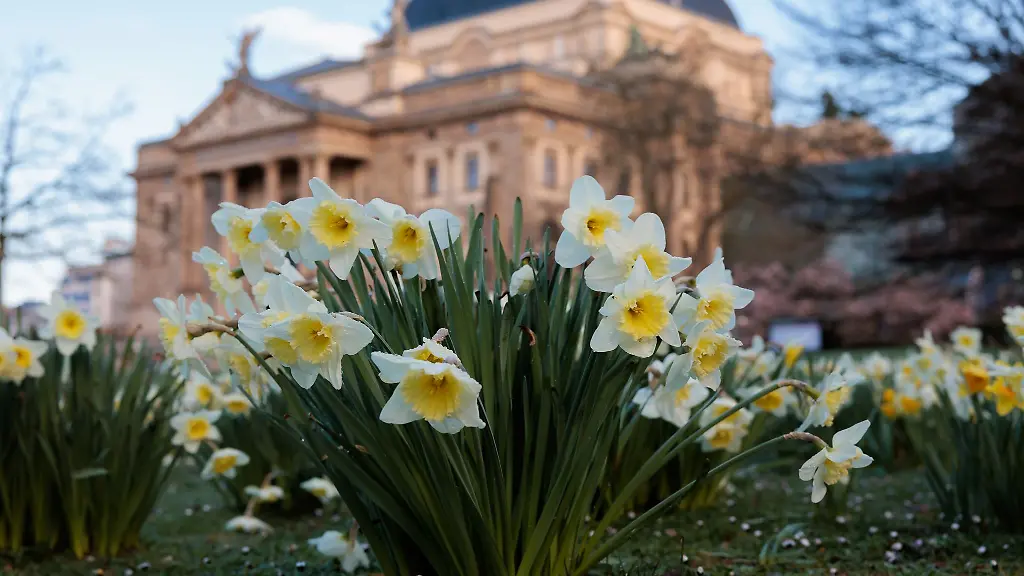 In-den-naechsten-Tagen-wird-es-zunehmend-warm-und-sonnig