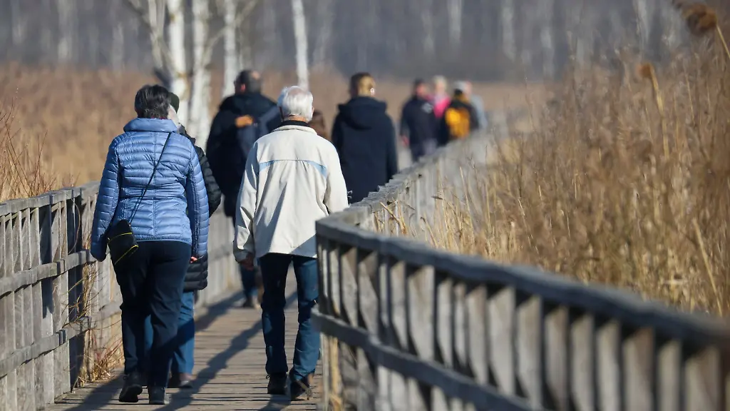 In-Baden-Wuerttemberg-wird-es-in-der-kommenden-Woche-windig