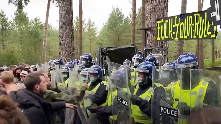 Raver Wald Großbritannien3.JPG