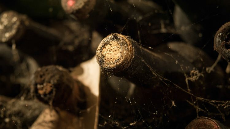 Bei Wein kann Alter durchaus ein Qualitätsmerkmal sein. 