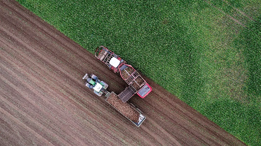 Auf-dem-Bauerntag-wollen-die-Landwirte-ueber-ihre-Forderungen-an-die-kuenftige-Bundesregierung-diskutieren