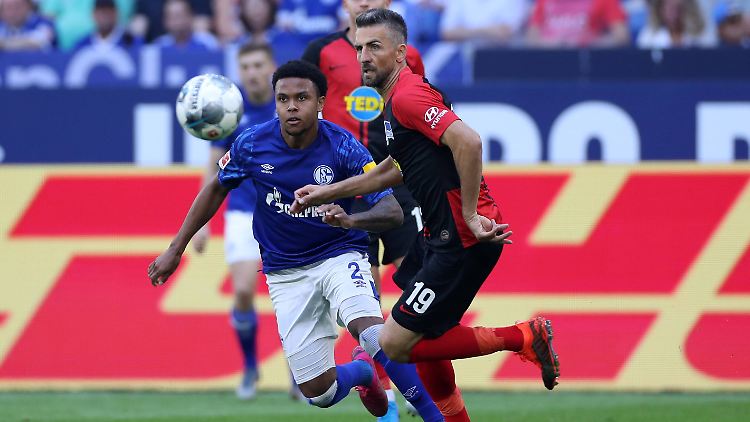 Der eine ist weg, der andere kommt: Vedad Ibisevic (rechts) will Schalke 04 bereichern, Weston McKennie spielt jetzt für Juventus Turin.