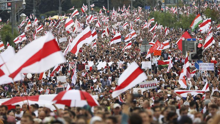 Demonstranten in Belarus schwenken die historische Nationalflagge des Landes. Trotz Warnungen vor neuen Protesten gegen Staatschef Lukaschenko sind wieder Tausende Menschen in der Hauptstadt Minsk unterwegs.