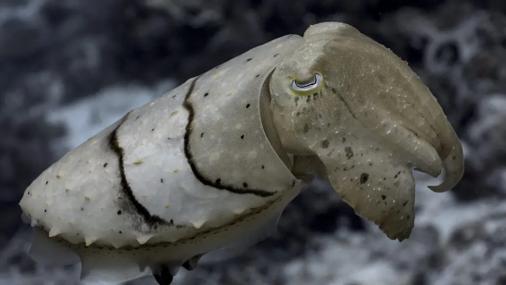 ACHTUNG-Frei-nur-zur-redaktionellen-Verwendung-im-Zusammenhang-mit-der-Berichterstattung-ueber-die-Studie