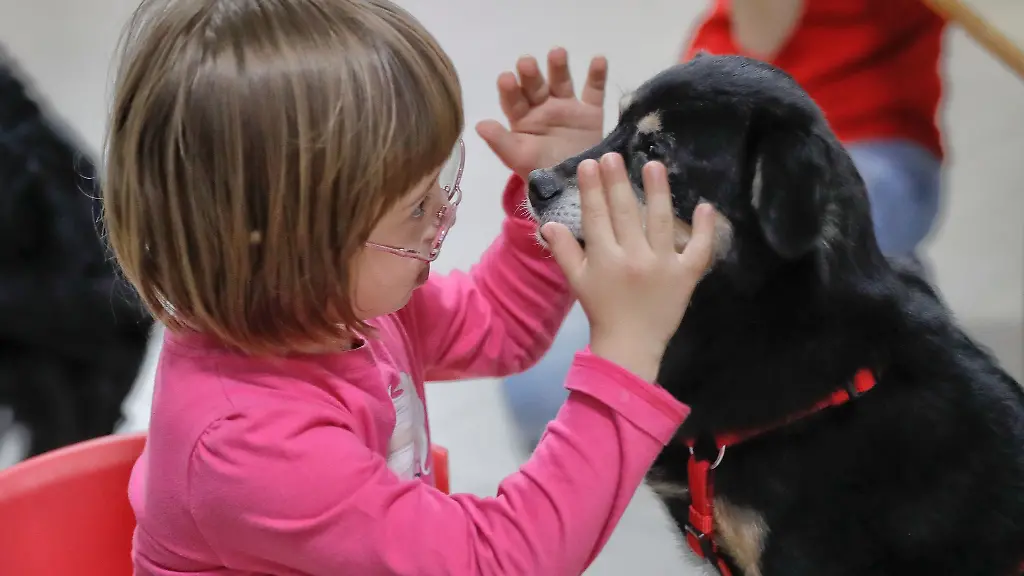 Hunde-koennen-in-verschiedenen-Therapieformen-eingesetzt-werden
