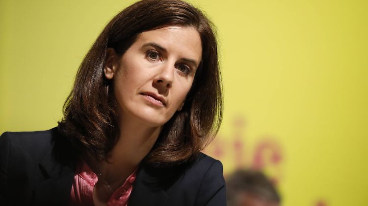 Katja Suding trat erst 2006 in die FDP ein - und legte eine steile Karriere hin. Doch nun soll Schluss sein. 