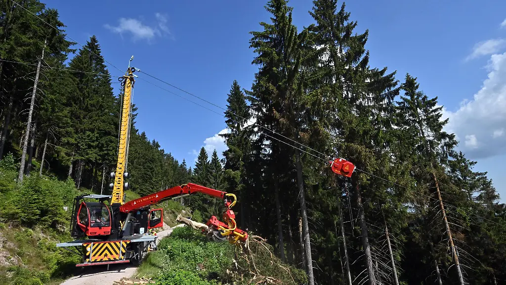 Spezialmaschinen-fuer-Waldarbeit-koennen-jetzt-in-der-neuen-Werkstatt-des-Maschinenstuetzpunkts-der-Landesforstanstalt-im-Kyffhaeuserkreis-repariert-und-gewartet-werden