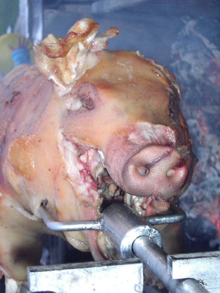 Ferkel am Spieß. Veganer verzichten bewusst auf alle tierischen Produkte, manche auch aus Tierschutzgründen.