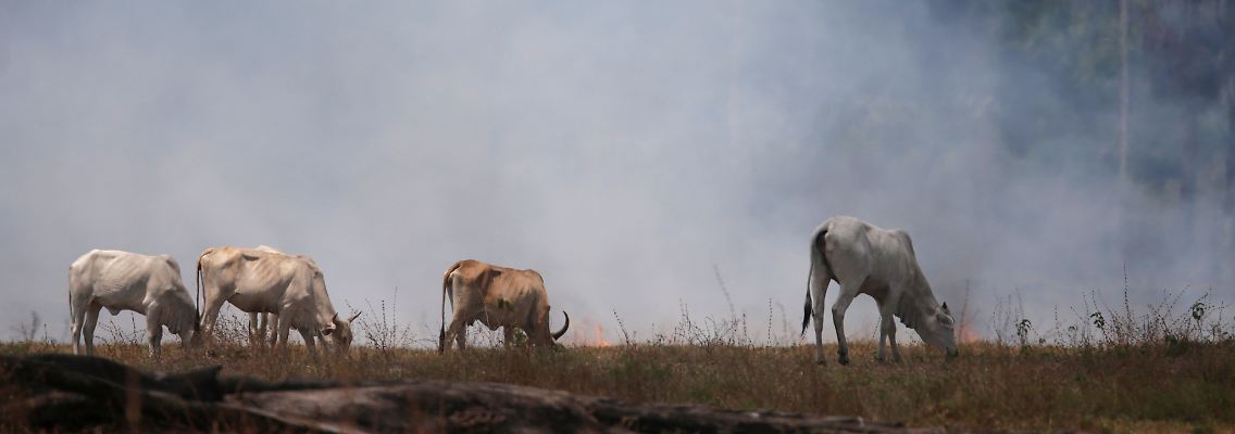 2019-09-17T000000Z_1694194550_RC1AEAFE0360_RTRMADP_3_BRAZIL-ENVIRONMENT-WILDFIRES.JPG