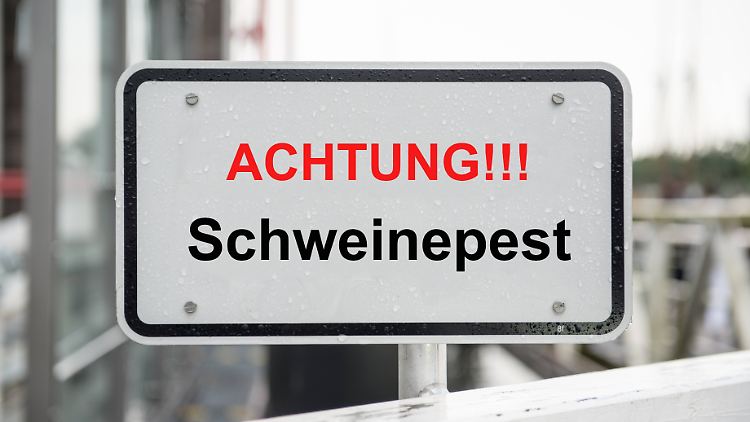 Für den Menschen ist die Krankheit ungefährlich, doch für die Tiere tödlich.