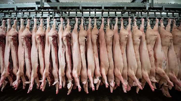 Japan stoppt Einfuhren von Lebendtieren und Schweinefleischprodukten.