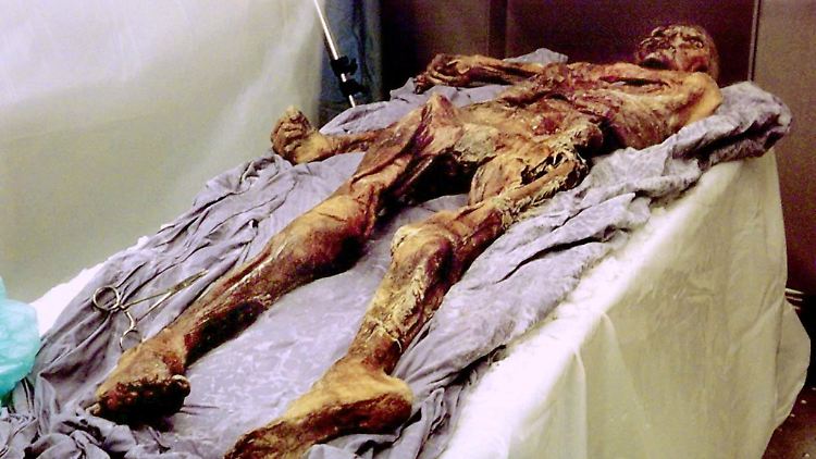 Der Sensationsfund: Ötzi wurde im September 1991 in den Ötztaler Alpen entdeckt.