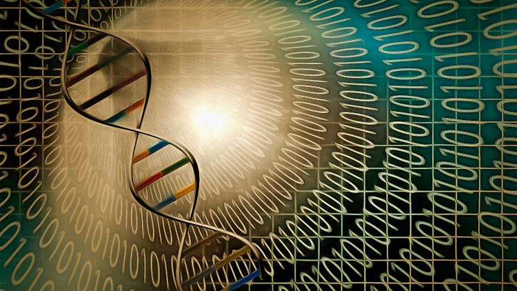 Die Vorteile von DNA als Datenträger: Auf sehr wenig Platz können sehr große Datenmengen gespeichert werden.