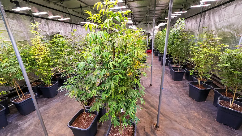 28-Antragsteller-warten-in-Bayern-auf-eine-Genehmigung