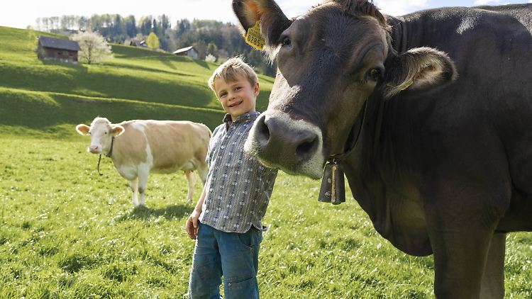 Ein Urlaub in der Schweiz ist für Kinder immer ein besonderes Erlebnis.