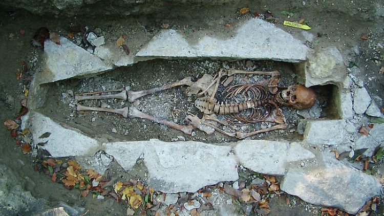 Die DNA eines weiblichen Skeletts, genannt Kata, das an einer Wikingergrabstätte in Varnhem (Schweden) gefunden wurde, wurde als Teil der Studie sequenziert.