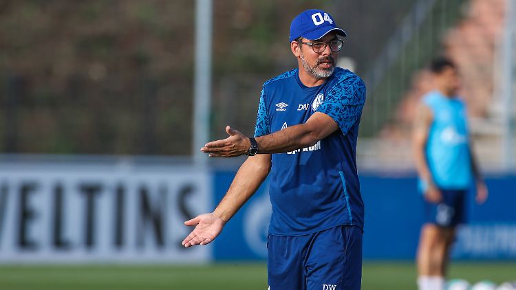 Schalke-Coach David Wagner steht vor einer Mammutaufgabe.