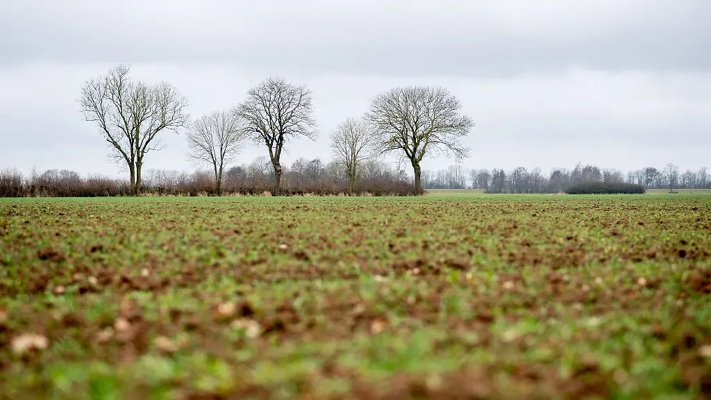 Das-Wetter-in-Niedersachsen-wird-in-den-naechsten-Tagen-ungemuetlicher