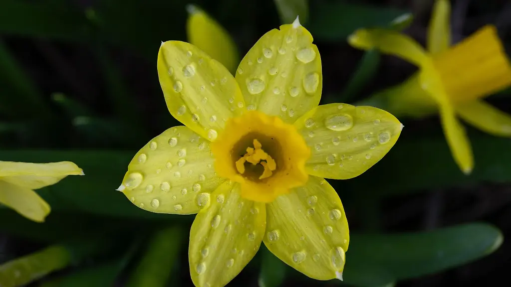 Bei-fruehlingshaften-Temperaturen-wird-es-in-der-neuen-Woche-nass