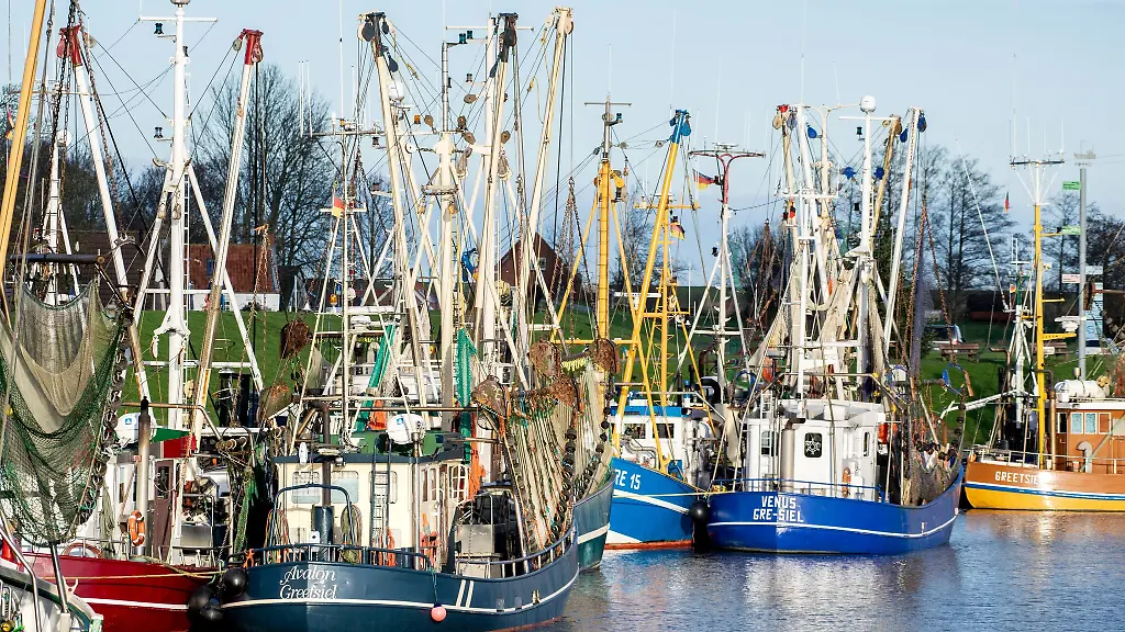 Niedersachsens-Kuestenfischer-blicken-auf-schwere-Wirtschaftsjahre-zurueck