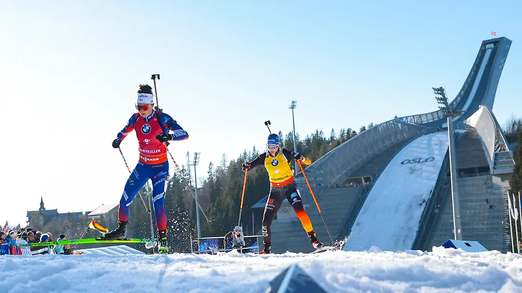 c3360ef2f861952498268edff1d13a15