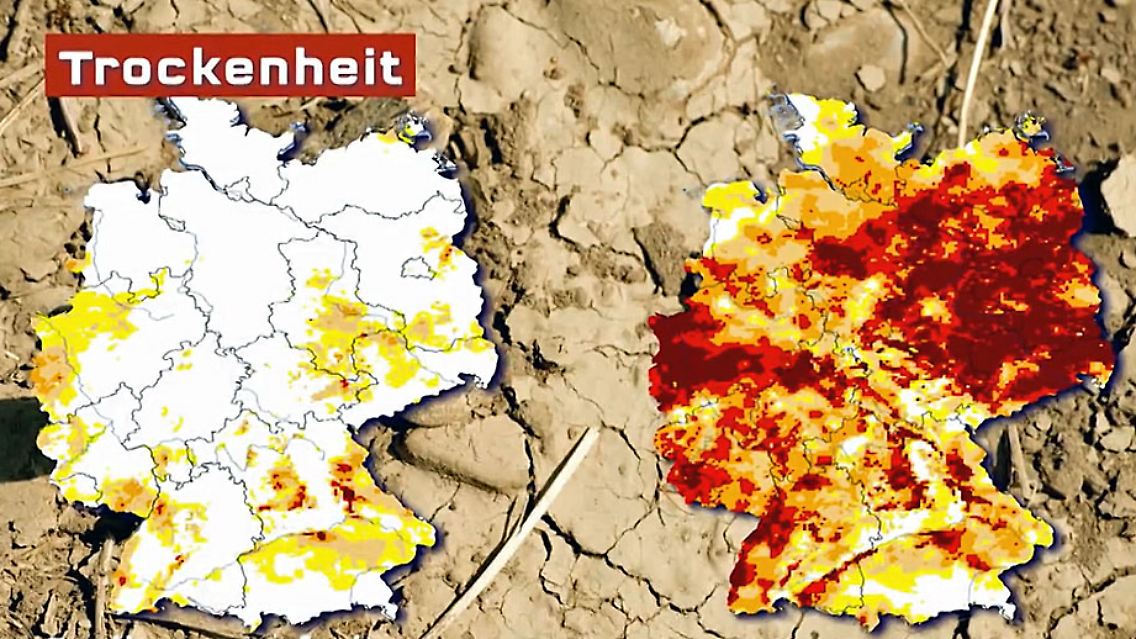 Trockenheit.jpg