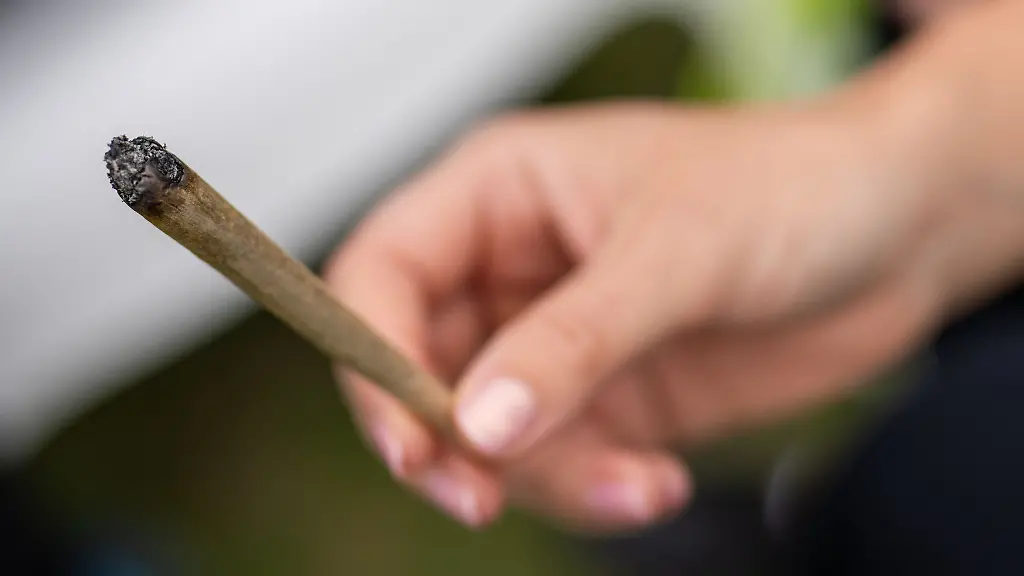 In-Berlin-sind-in-mehr-als-170-Faellen-bereits-verhaengte-Strafen-wegen-Verstoessen-mit-Marihuana-oder-Haschisch-erlassen-worden