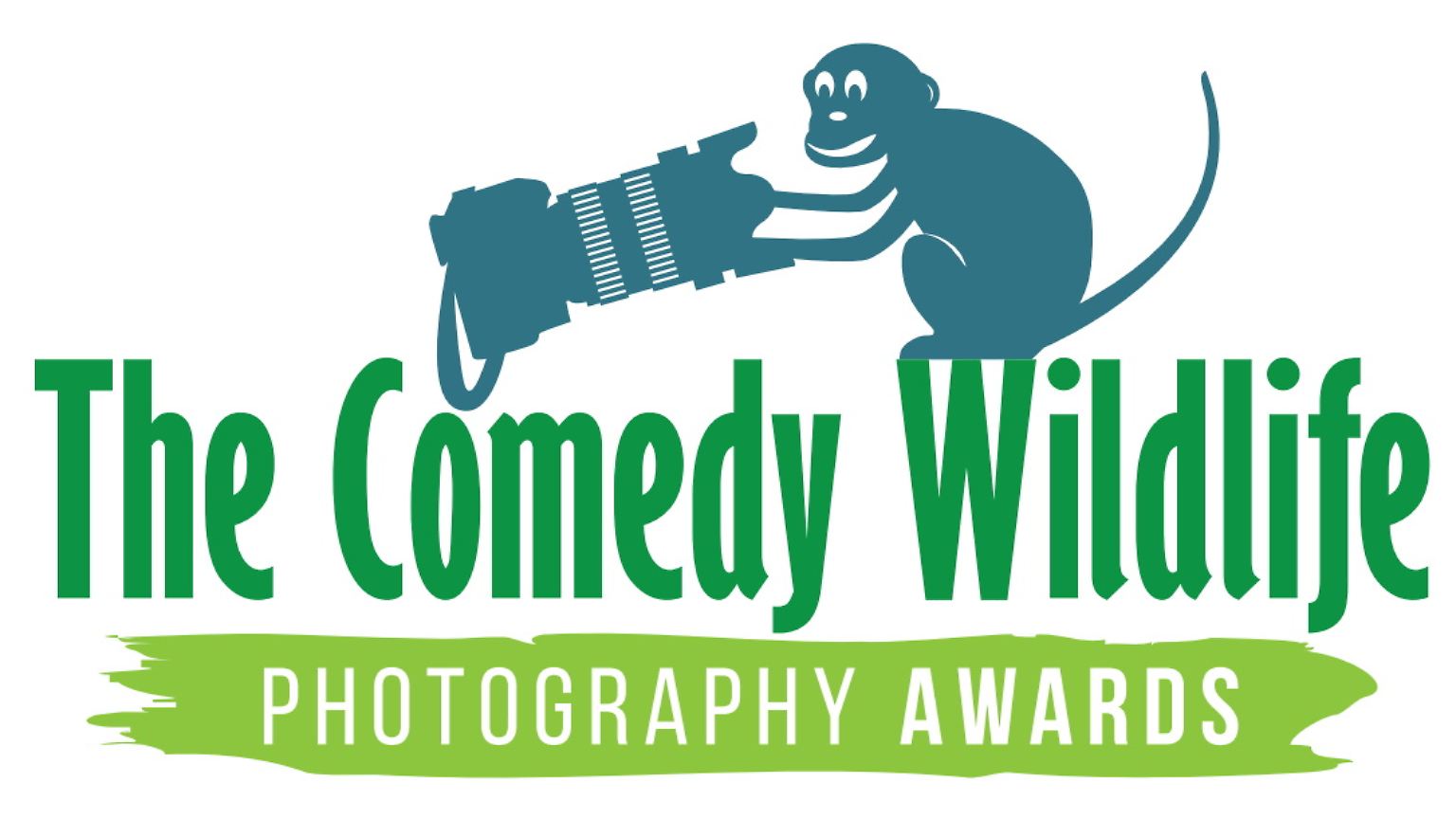 Alljährlich werden bei den Comedy Wildlife Photography Awards die lustigsten Tierfotos des Jahres ausgezeichnet. Der Wettbewerb wurde von Paul Joynson-Hicks und Tom Sullam - Fotografen und leidenschaftliche Naturschützer - ins Leben gerufen, um auf diesem Wege auf den Arten- und Naturschutz aufmerksam zu machen. Tausende Bilder aus aller Welt wurden eingeschickt - wir zeigen die 44 Finalisten und den Haupt-Gewinner des Jahres 2020.