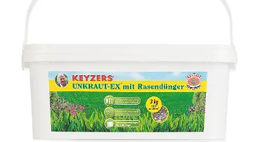 Ohne diese Unkrautvernichter sieht es fr den Rasen schlecht aus - ntv.de