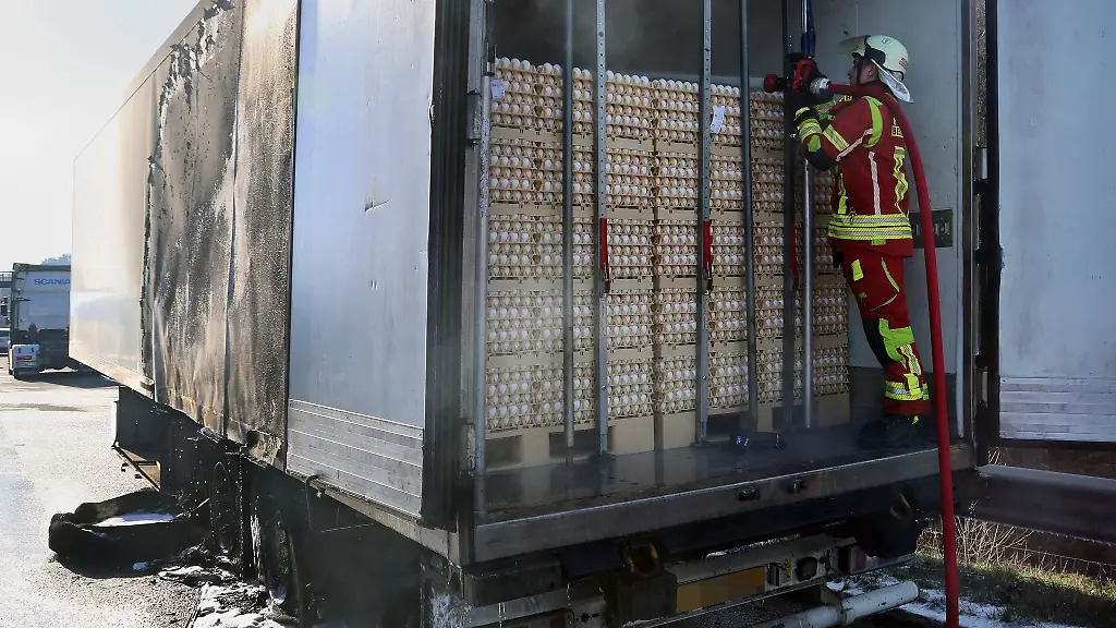 Rund-300-000-Eier-mussten-auf-der-Autobahn-ausgeladen-werden