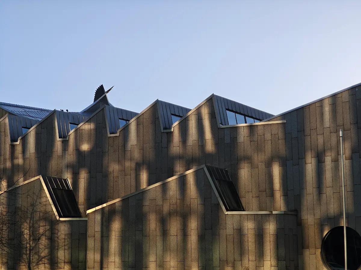 MVIMG-20250319-171316